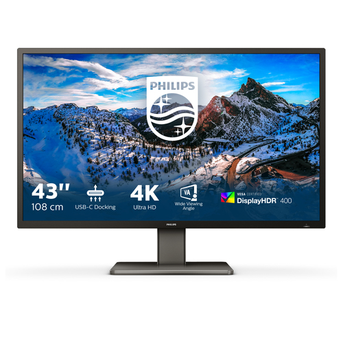 Écran PC Philips P Line 439P1/00