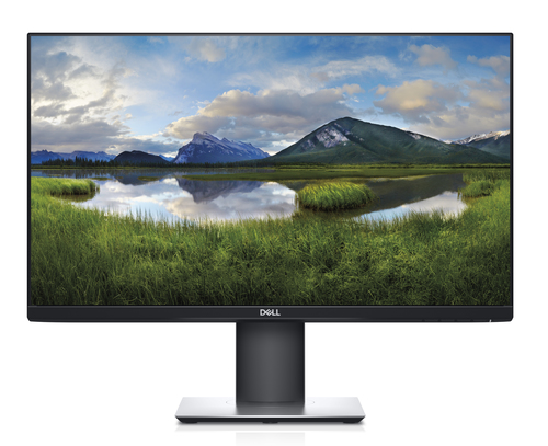 Écran PC DELL P2419HC