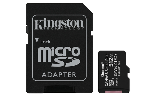 Kingston Technology Canvas Select Plus 512 Go (SDCS2/512GB)