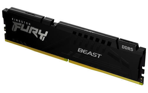 Mémoire RAM Kingston Technology FURY Beast 16 Go (KF560C36BBE2-16)