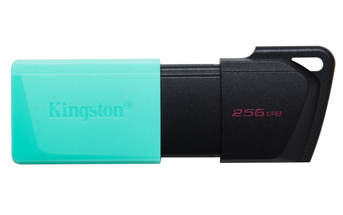 Clé USB Kingston Technology DataTraveler Exodia M 256 Go (DTXM/256GB)