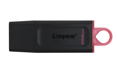 Clé USB Kingston Technology DataTraveler Exodia 256 Go (DTX/256GB)