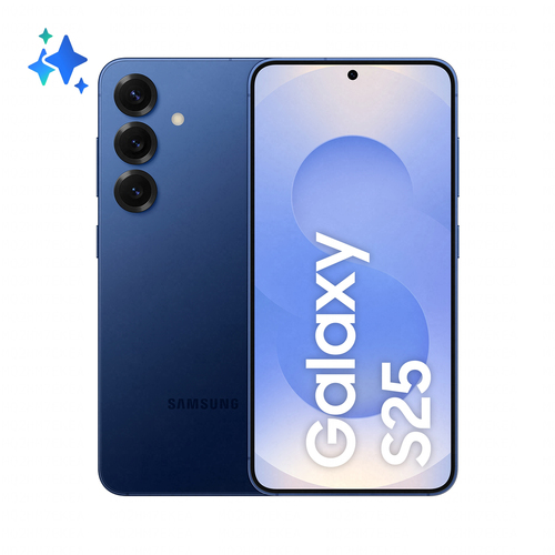 Samsung Galaxy S25 256 Go (SM-S931BDBGEUB)
