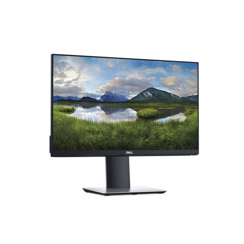 Écran PC DELL P2219H