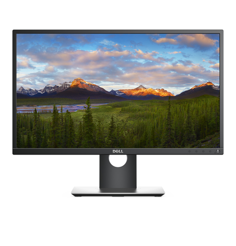 Écran PC DELL Professional P2417H