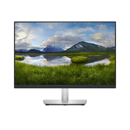 Écran PC DELL P Series P2423
