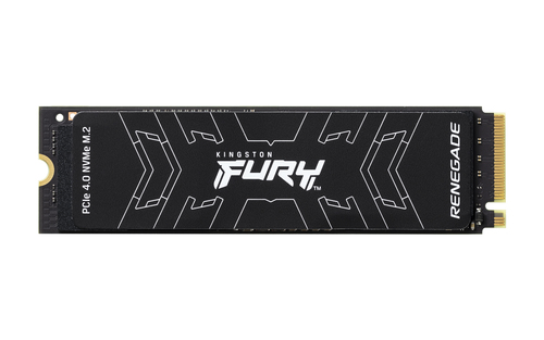 Kingston Technology FURY Renegade