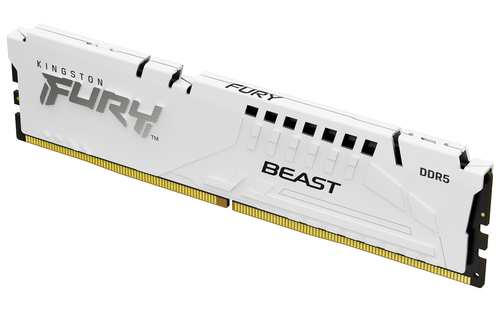 Mémoire RAM Kingston Technology FURY Beast 16 Go (KF556C36BWE-16)