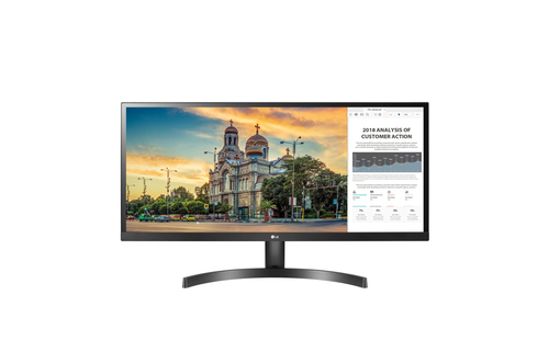 Écran PC LG 29WL500-B
