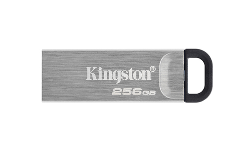 Clé USB Kingston Technology DataTraveler Kyson 256 Go (DTKN/256GB)