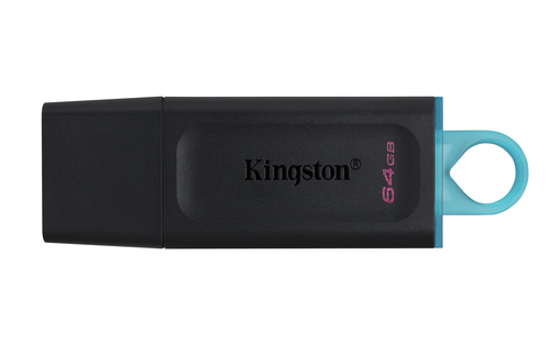 Clé USB Kingston Technology DataTraveler Exodia 64 Go (DTX/64GB-2P)