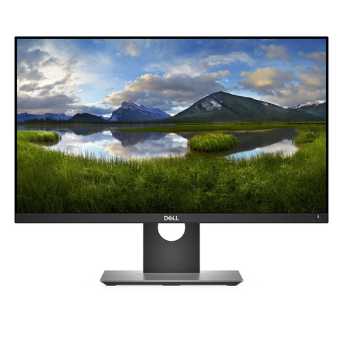 Écran PC DELL Professional P2418D