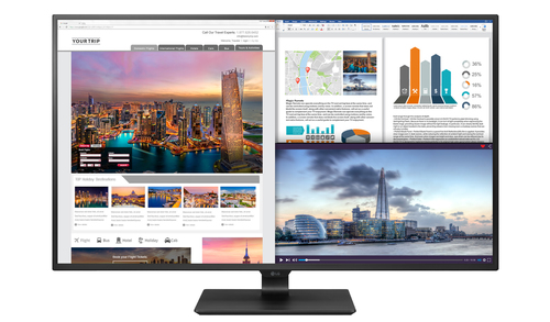Écran PC LG 43UD79-B