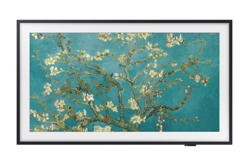 Samsung The Frame QE65LS03BGUXXN TV